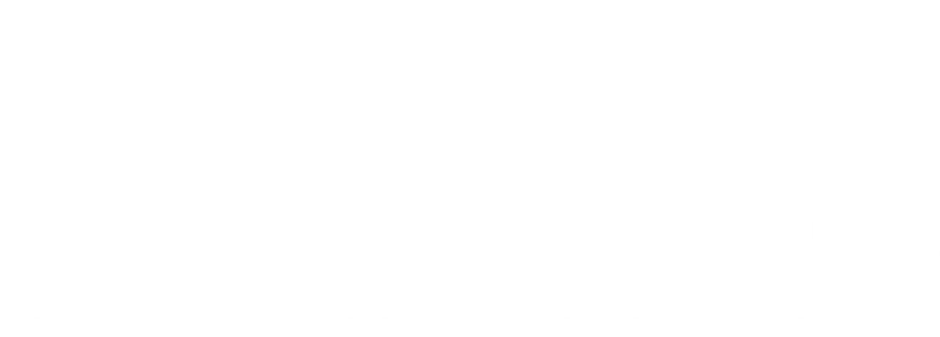 ALTO ANDINO